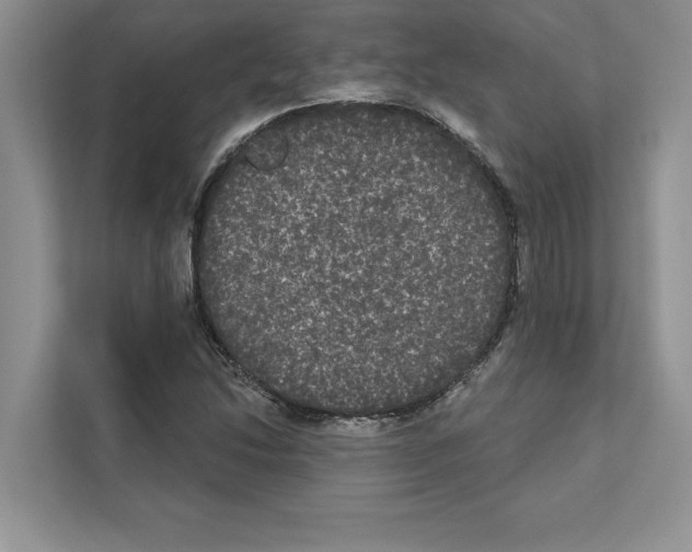 X0000111021214200907310925