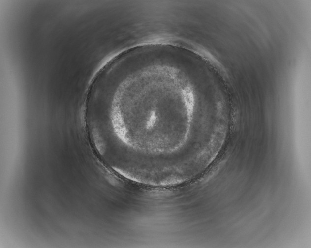 X0000111021216200907310925