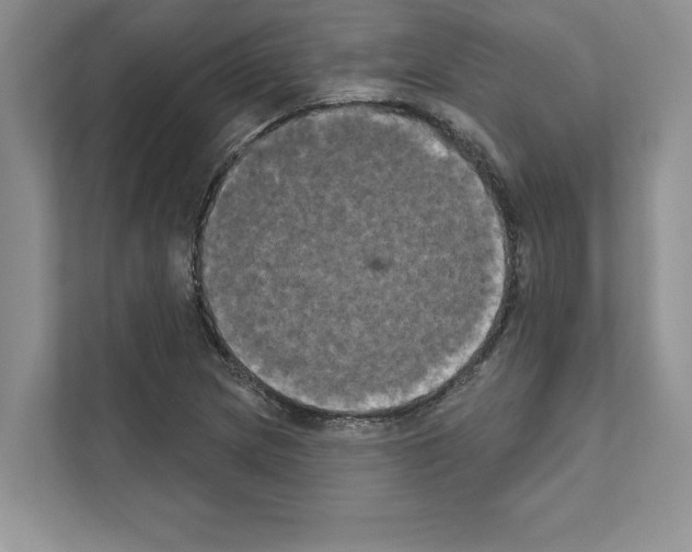 X0000111021217200907310925