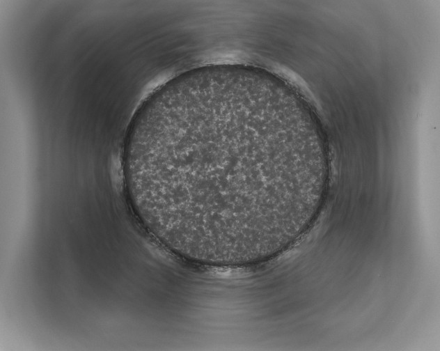 X0000111021218200907310925