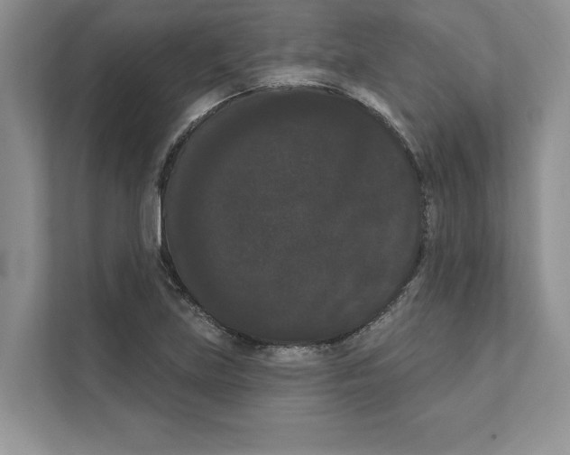 X0000111021219200907310925