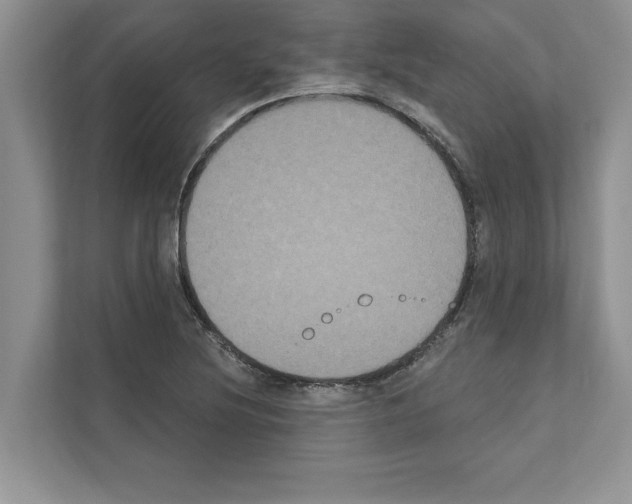 X0000111021220200907310925