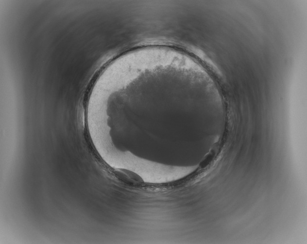 X0000111021221200907310925