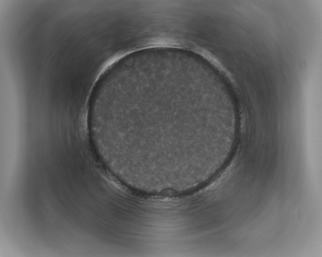 X0000111021222200907310925