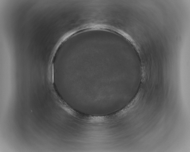 X0000111021223200907310925