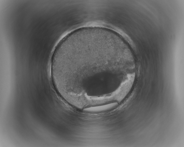 X0000111021224200907310925