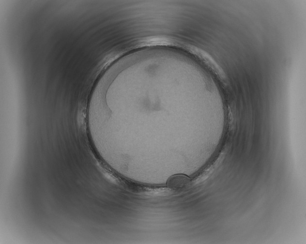 X0000111021225200907310925
