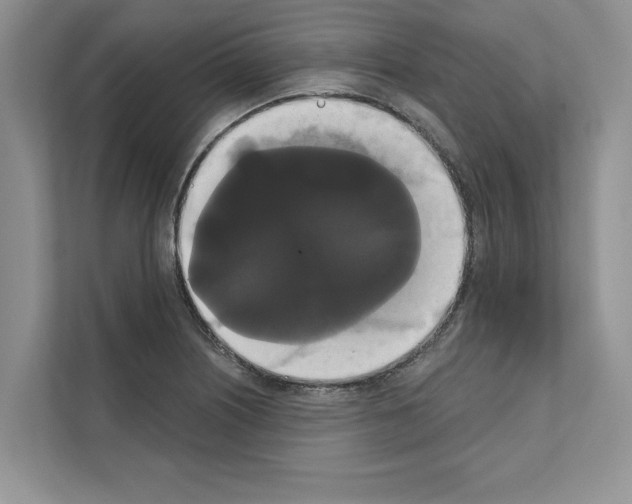 X0000111021226200907310925