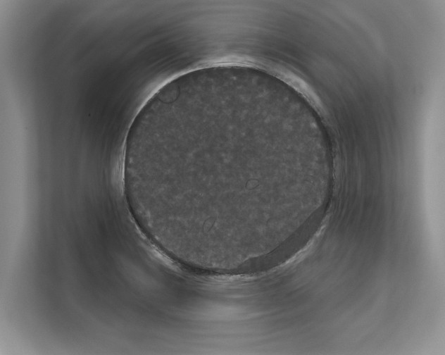 X0000111021228200907310925
