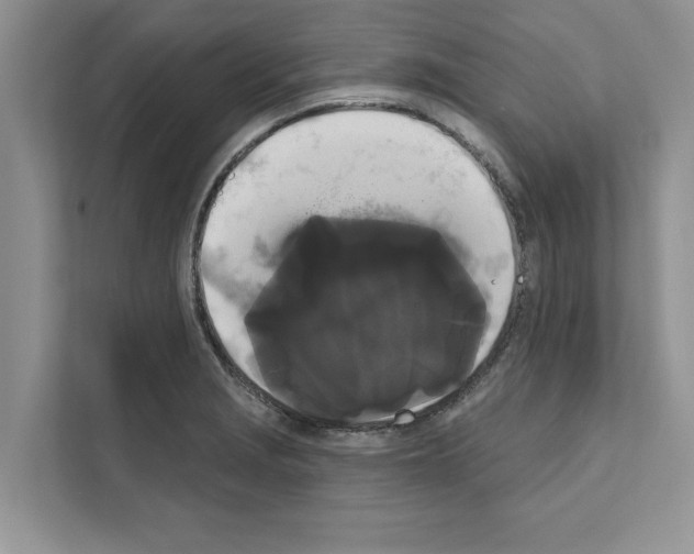 X0000111021229200907310925