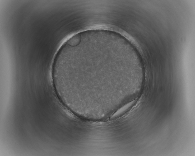 X0000111021230200907310925