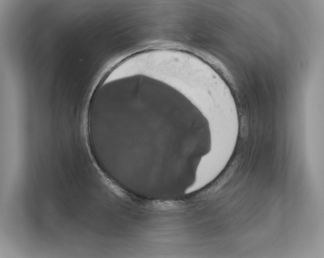 X0000111021231200907310925