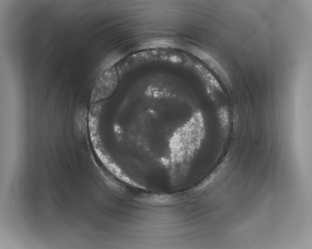 X0000111021233200907310925