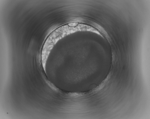 X0000111021234200907310925