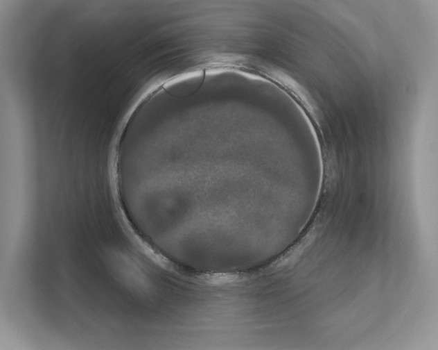 X0000111021235200907310925