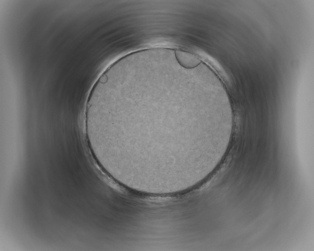 X0000111021236200907310925