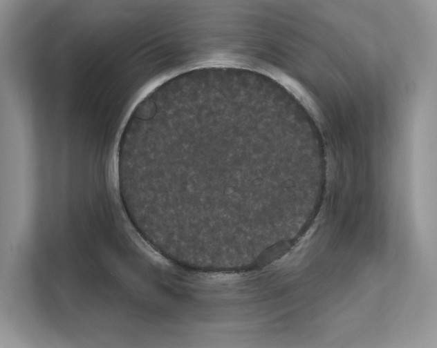 X0000111021238200907310925