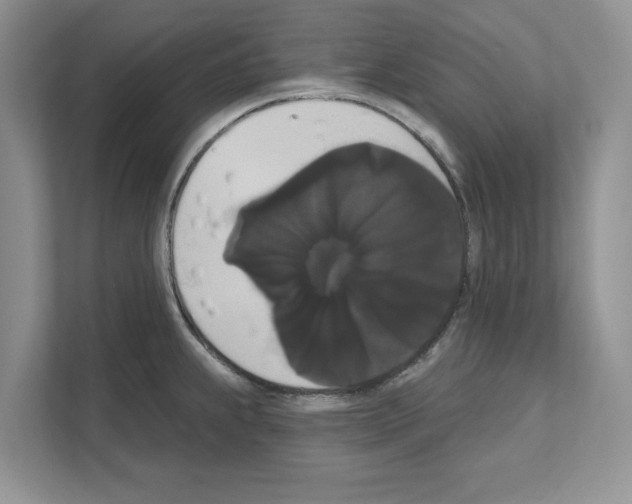 X0000111021239200907310925