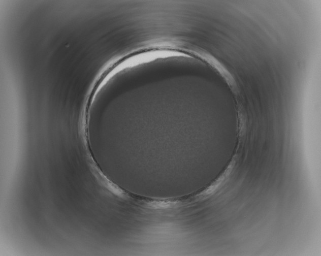 X0000111021240200907310925
