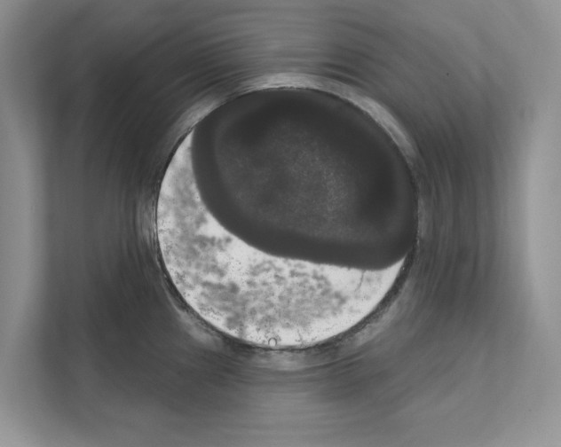 X0000111021241200907310925