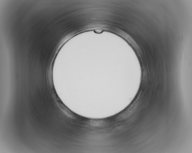 X0000111021242200907310925