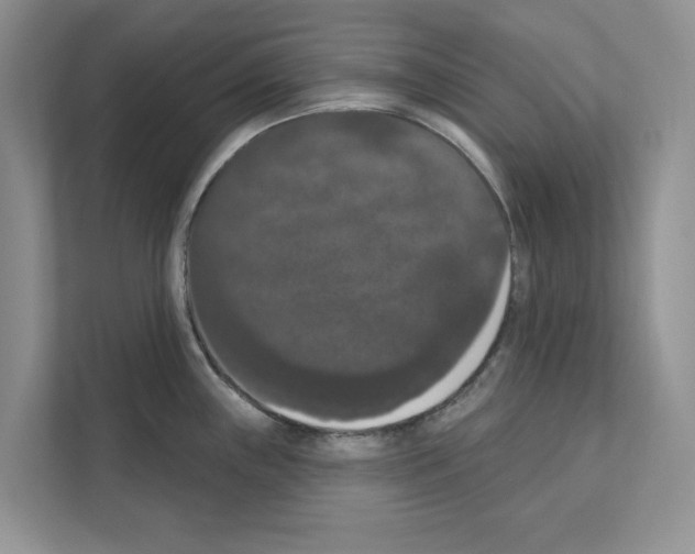 X0000111021243200907310925
