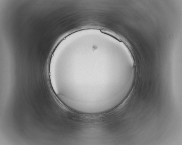 X0000111021246200907310925