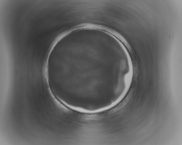 X0000111021247200907310925