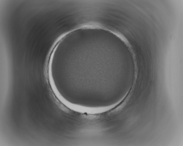 X0000111021248200907310925