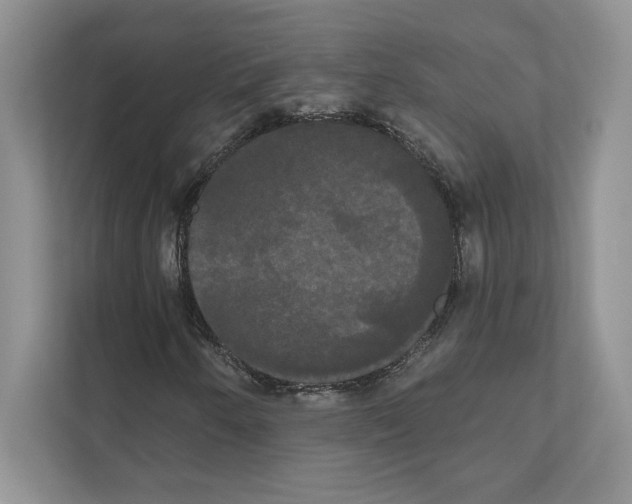 X0000111021250200907310925