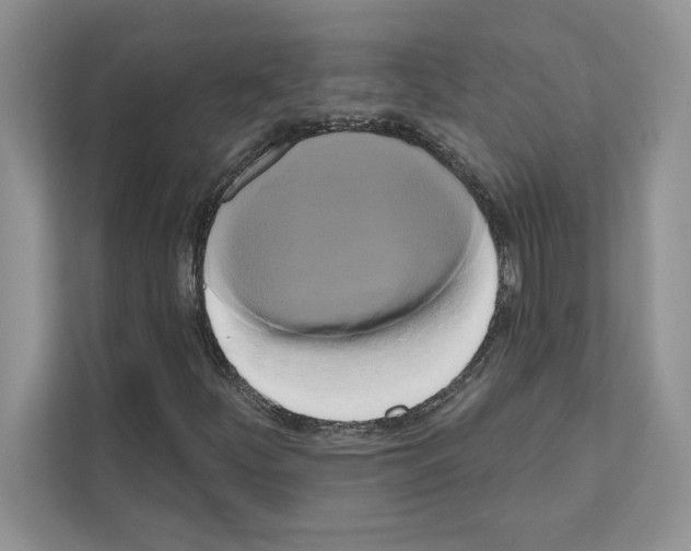 X0000111021252200907310924