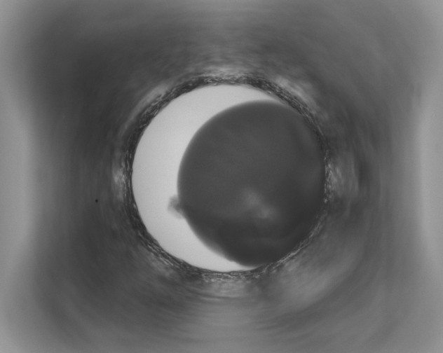 X0000111021254200907310924