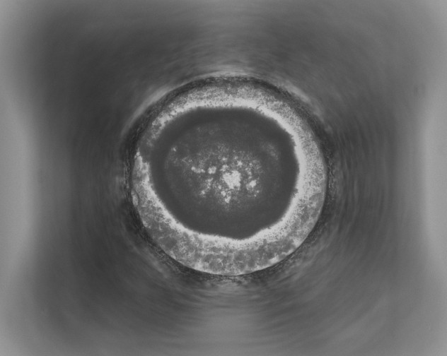 X0000111021255200907310924