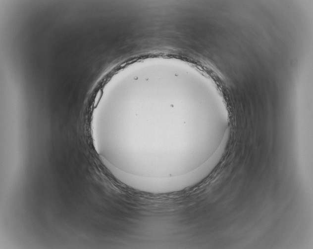 X0000111021256200907310924