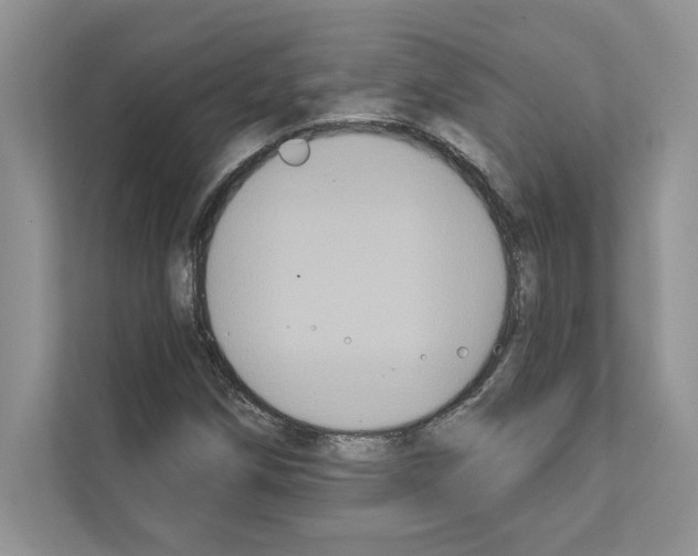 X0000111021258200907310924