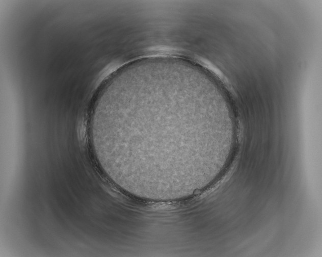 X0000111021259200907310924
