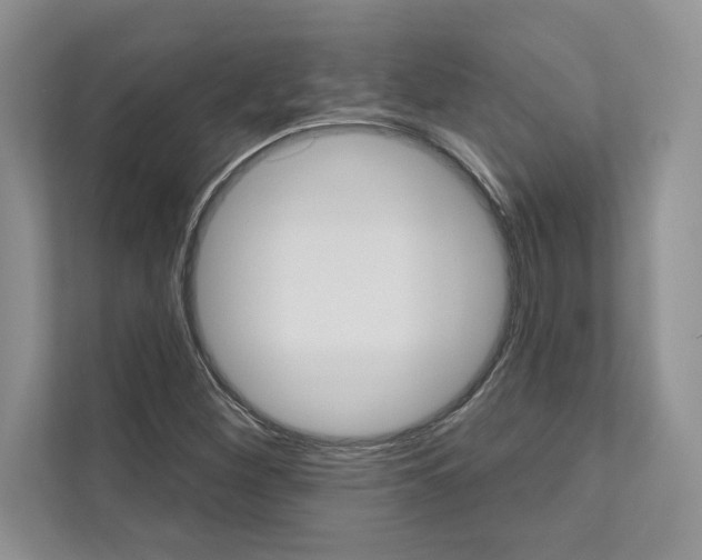 X0000111021260200907310924