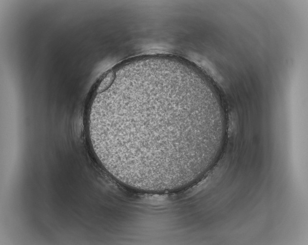 X0000111021261200907310924