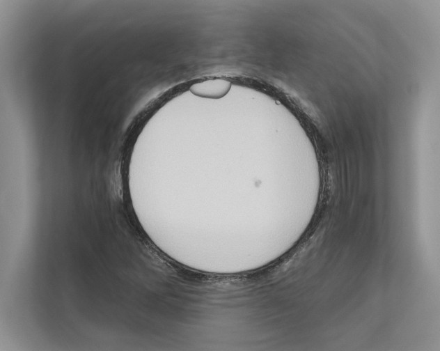 X0000111021262200907310924