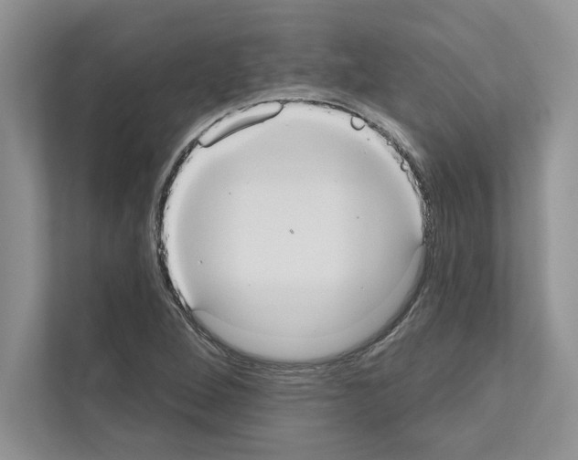 X0000111021264200907310924