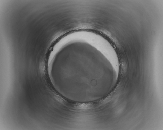 X0000111021266200907310924