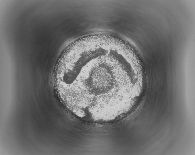 X0000111021267200907310924