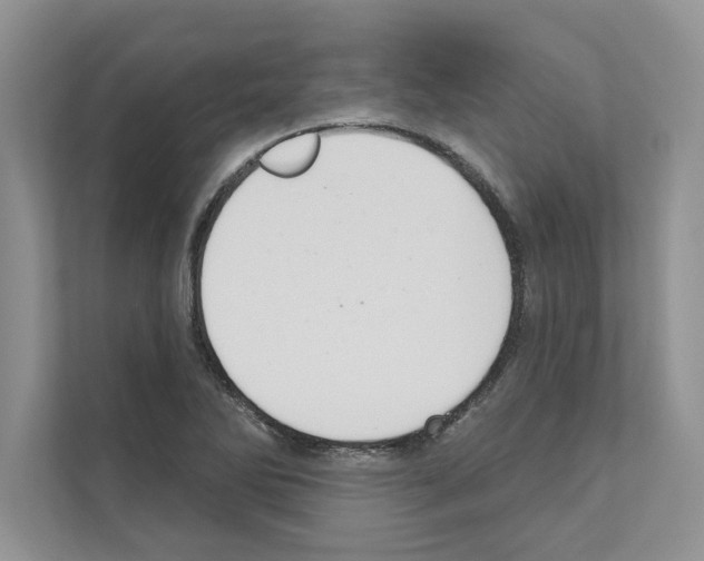 X0000111021270200907310924
