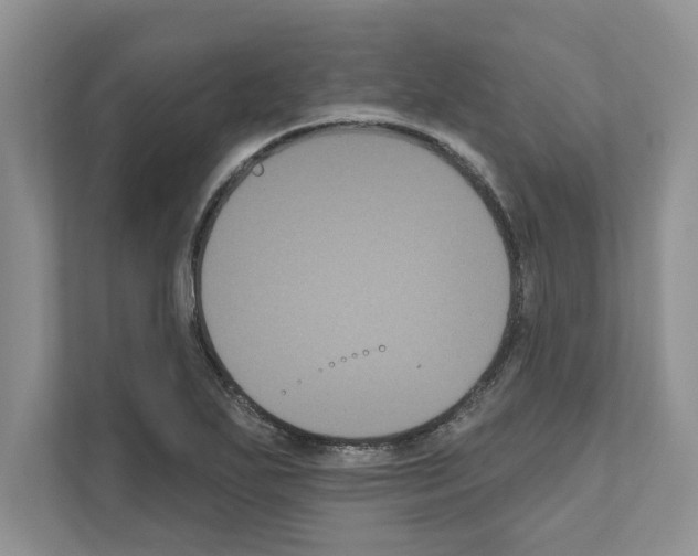 X0000111021271200907310924