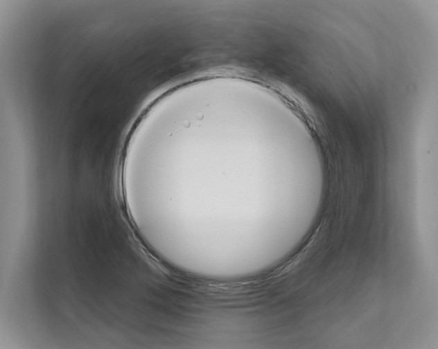 X0000111021272200907310924