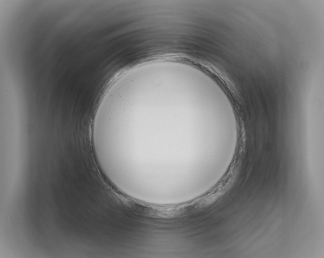X0000111021273200907310924