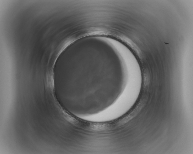 X0000111021274200907310924