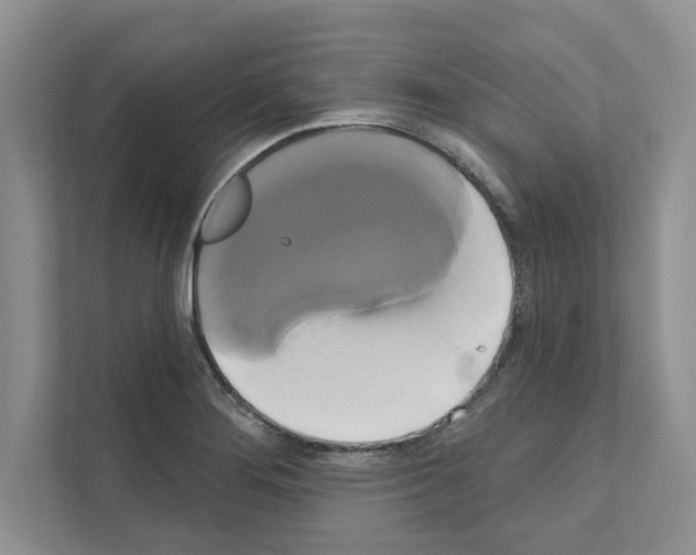 X0000111021276200907310924