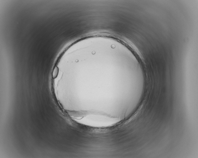 X0000111021277200907310924