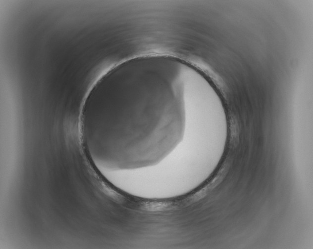 X0000111021278200907310924